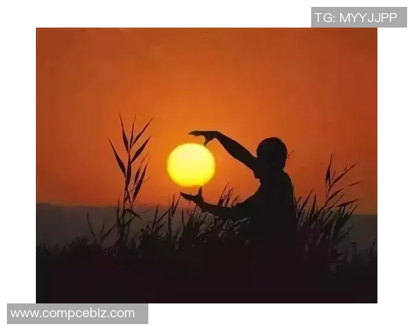 陆敏佳的成长之路：从平凡到卓越的奋斗故事与人生启示